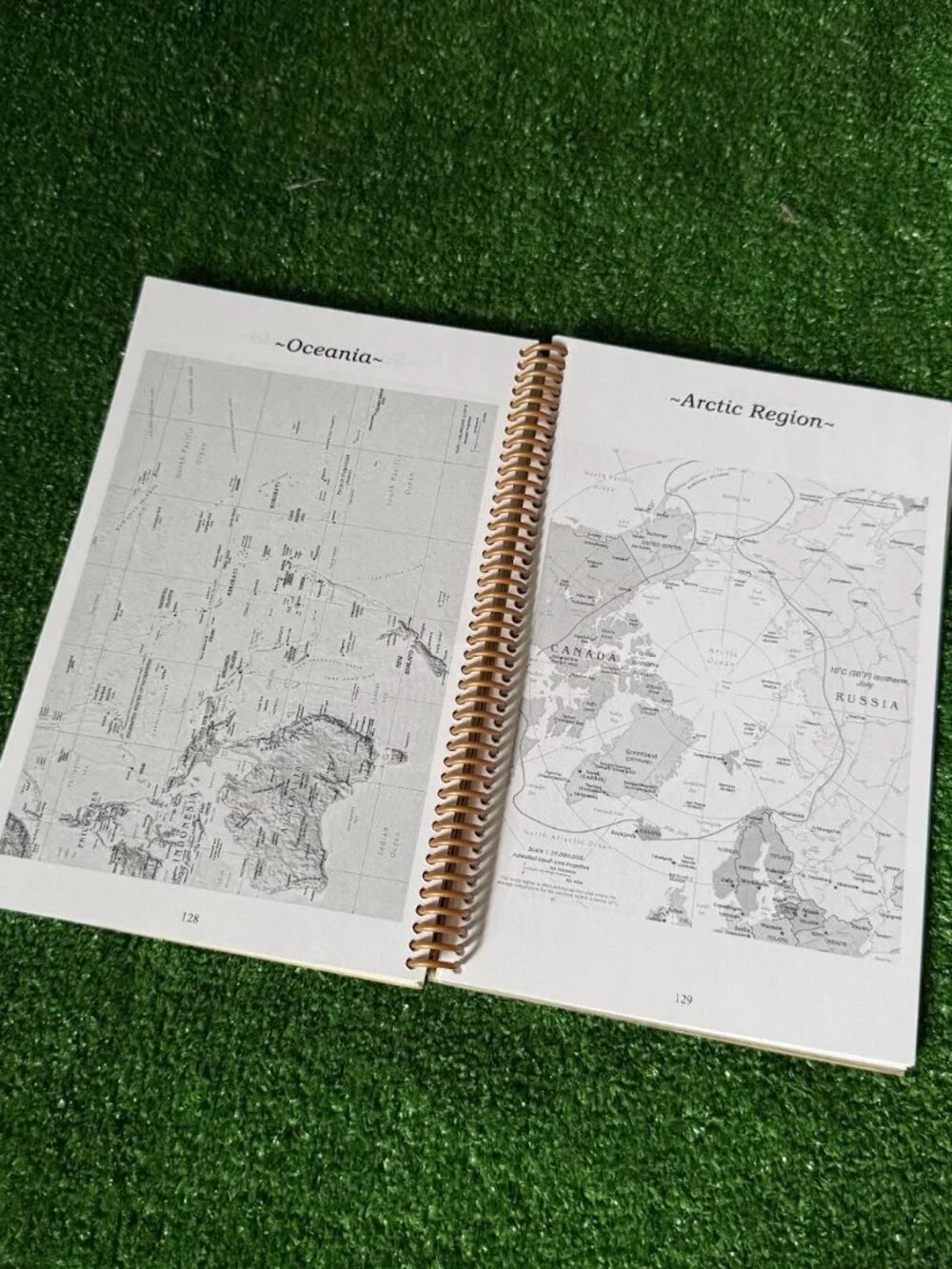 CruiseMinder journal vacation